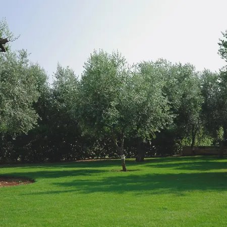 L'ulivo Panzió 4*