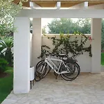 L'ulivo