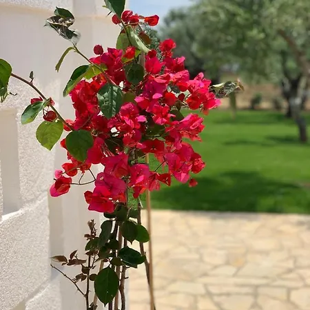 L'ulivo Bed & Breakfast Savelletri