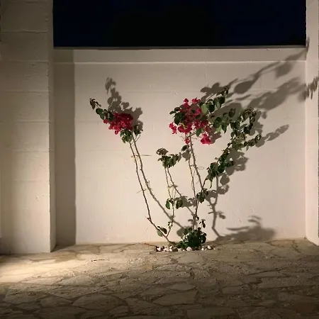 Bed & Breakfast L'ulivo Savelletri