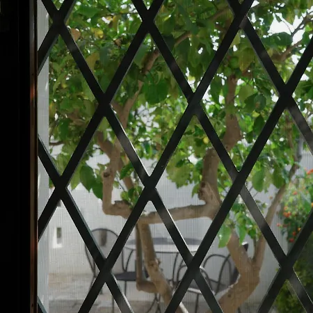 Bed & Breakfast L'ulivo
