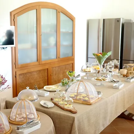Bed & Breakfast L'ulivo