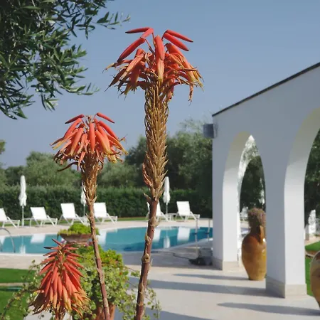 L'ulivo Bed & Breakfast