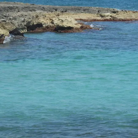 L'ulivo