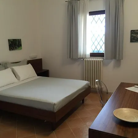 L'ulivo