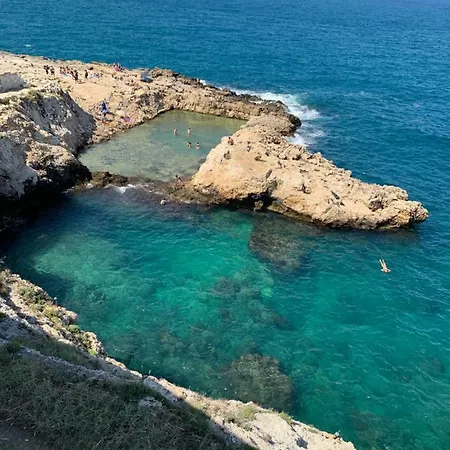 Bed & Breakfast L'ulivo *